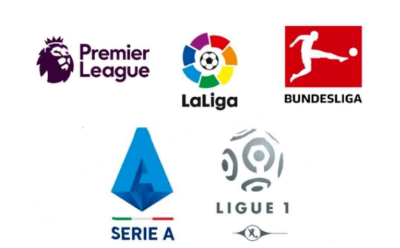 不仅为奥委 不仅为奥委